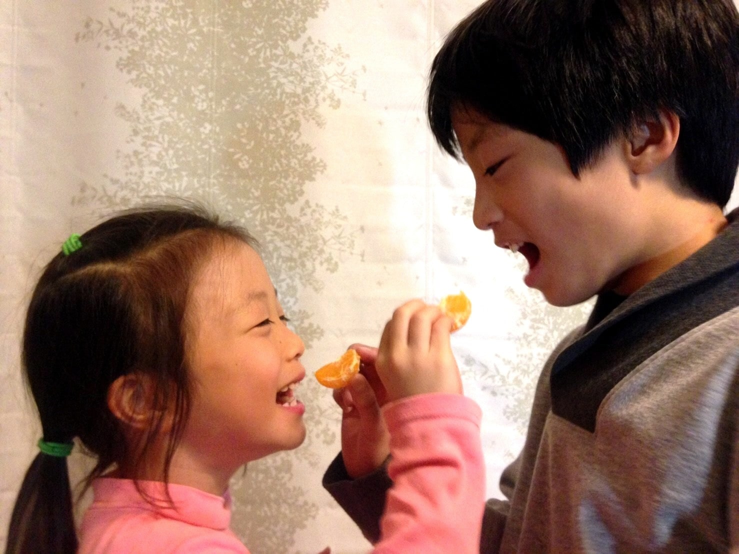 届けられる季節の果実